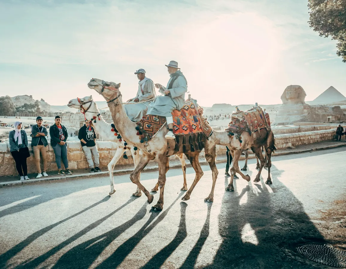 Private Tour to Explore the Giza Pyramids & Grand Egyptian Museum